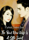 Perfect Secret Love The Bad New Wife Is A Little Sweet image