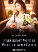 President Wife is Pretty and Cool image